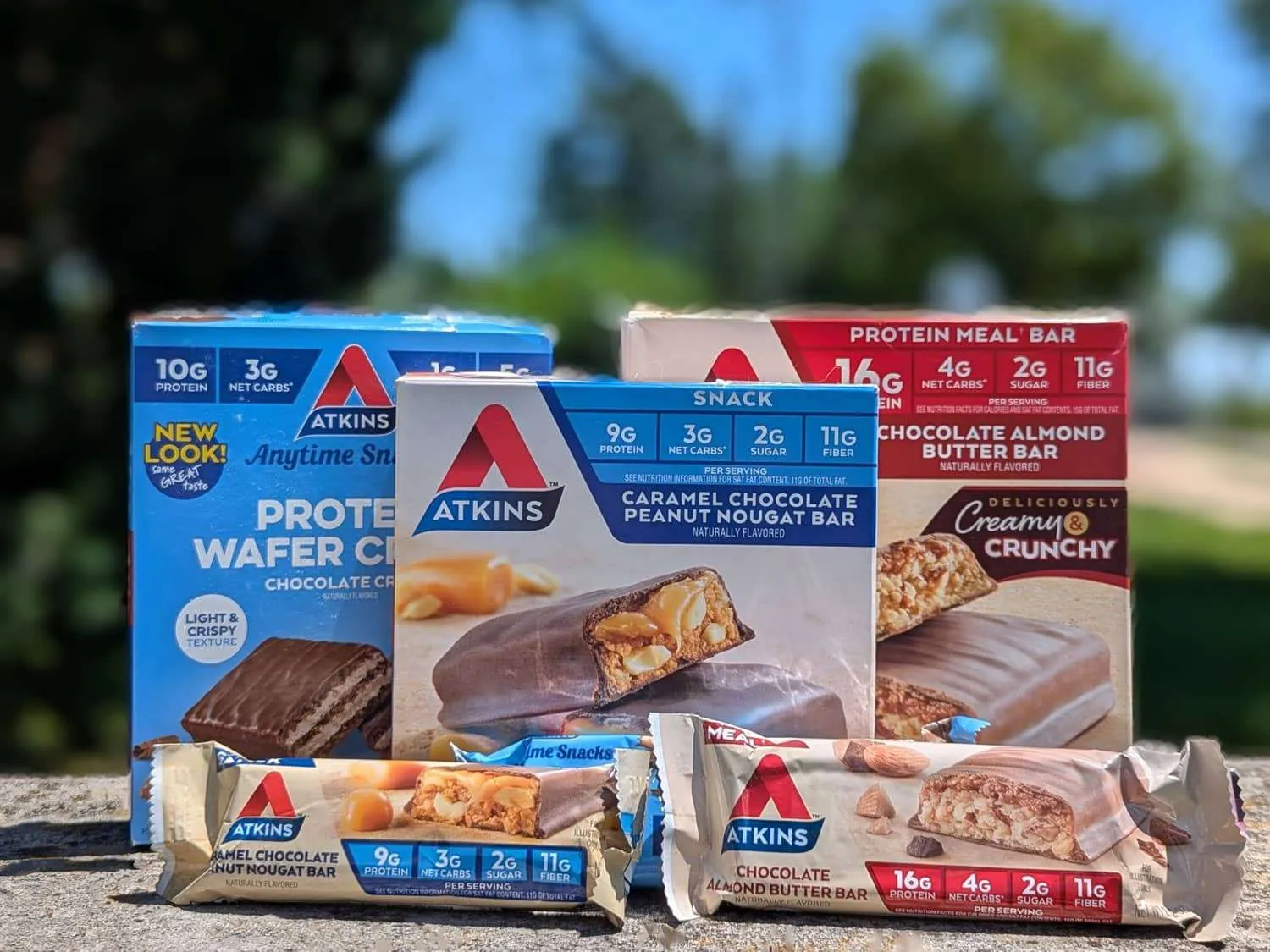 Atkins Protein Bars Review Are They Healthy? Human Food Bar